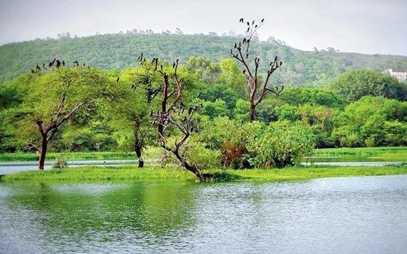 Pashan-lake-near-pashan